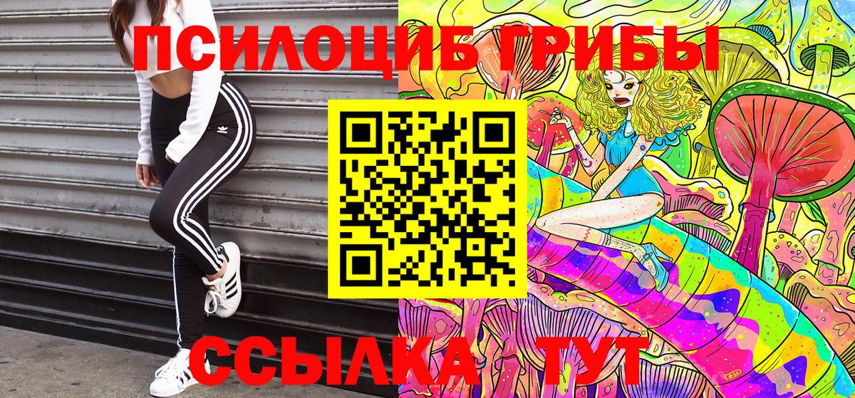 Галлюциногенные грибы Psilocybe  закладка  Вход с VPN  Назарово  Псилоцибиновые грибы Cubensis 